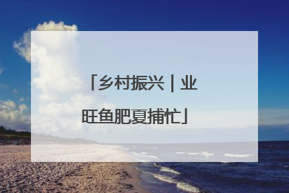 乡村振兴｜业旺鱼肥夏捕忙