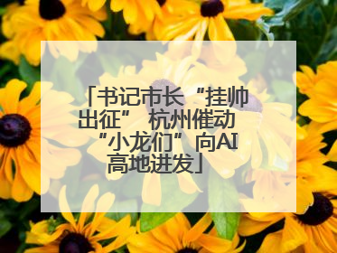 书记市长“挂帅出征” 杭州催动“小龙们”向AI高地进发
