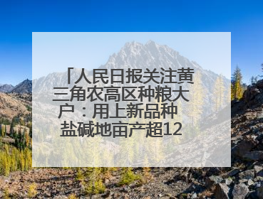 人民日报关注黄三角农高区种粮大户：用上新品种 盐碱地亩产超1200斤