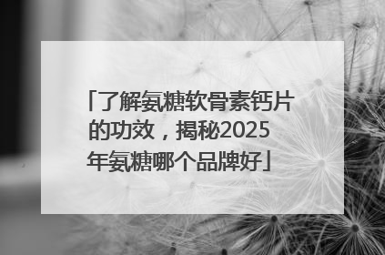 了解氨糖软骨素钙片的功效，揭秘2025年氨糖哪个品牌好