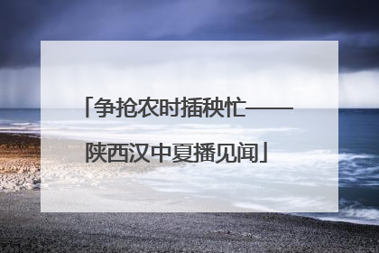 争抢农时插秧忙——陕西汉中夏播见闻