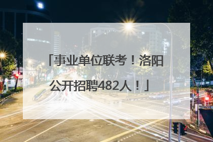 事业单位联考！洛阳公开招聘482人！