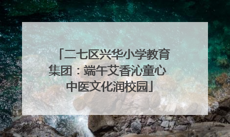 二七区兴华小学教育集团：端午艾香沁童心 中医文化润校园