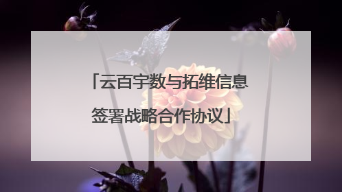 云百宇数与拓维信息签署战略合作协议