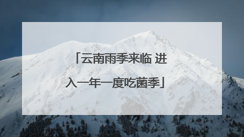 云南雨季来临 进入一年一度吃菌季
