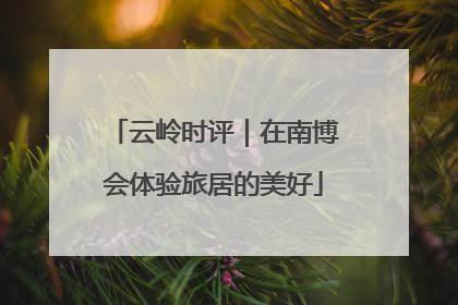 云岭时评｜在南博会体验旅居的美好