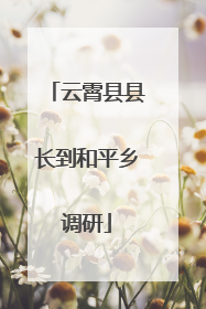 云霄县县长到和平乡调研