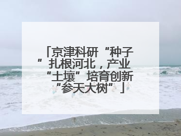 京津科研“种子”扎根河北，产业“土壤”培育创新“参天大树”
