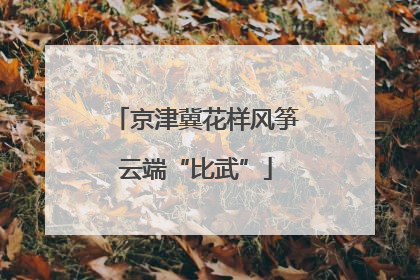 京津冀花样风筝云端“比武”