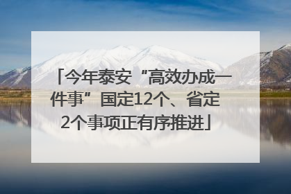 今年泰安“高效办成一件事”国定12个、省定2个事项正有序推进