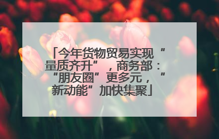 今年货物贸易实现“量质齐升”，商务部：“朋友圈”更多元，“新动能”加快集聚