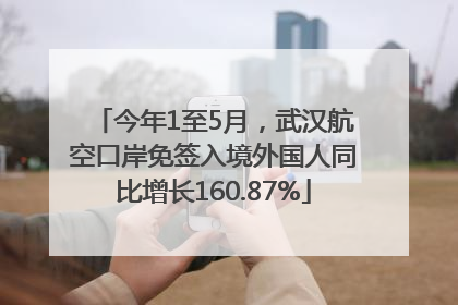 今年1至5月，武汉航空口岸免签入境外国人同比增长160.87%