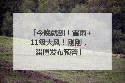 今晚就到！雷雨+11级大风！刚刚，淄博发布预警