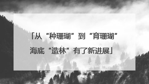 从“种珊瑚”到“育珊瑚” 海底“造林”有了新进展