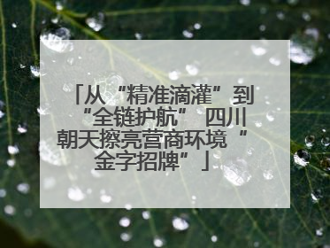 从“精准滴灌”到“全链护航” 四川朝天擦亮营商环境“金字招牌”