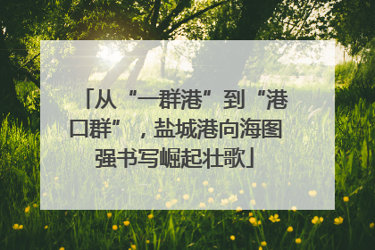 从“一群港”到“港口群”，盐城港向海图强书写崛起壮歌