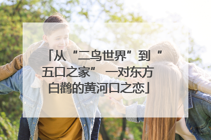 从“二鸟世界”到“五口之家” 一对东方白鹳的黄河口之恋