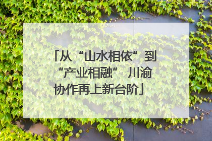 从“山水相依”到“产业相融” 川渝协作再上新台阶