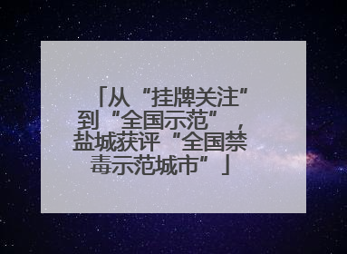 从“挂牌关注”到“全国示范”，盐城获评“全国禁毒示范城市”