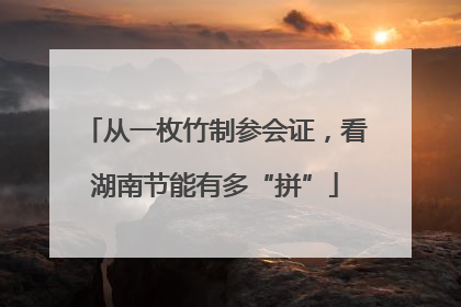 从一枚竹制参会证，看湖南节能有多“拼”