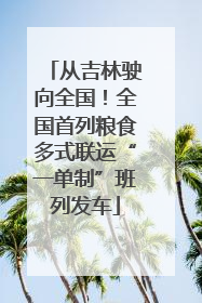 从吉林驶向全国！全国首列粮食多式联运“一单制”班列发车