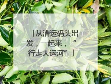 从漕运码头出发，一起来，“行走大运河”