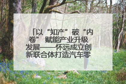 以“知产”破“内卷” 赋能产业升级发展——怀远成立创新联合体打造汽车零部件产业新高地