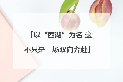 以“西湖”为名 这不只是一场双向奔赴