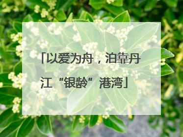 以爱为舟，泊靠丹江“银龄”港湾