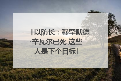 以防长：穆罕默德·辛瓦尔已死 这些人是下个目标
