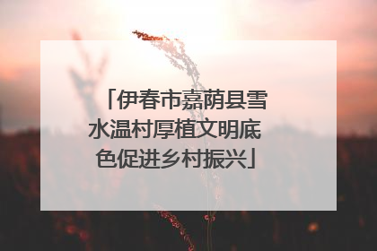 伊春市嘉荫县雪水温村厚植文明底色促进乡村振兴