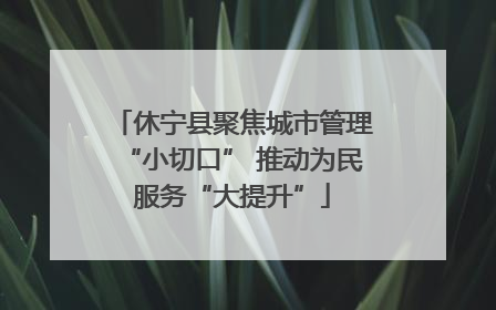 休宁县聚焦城市管理“小切口” 推动为民服务“大提升”