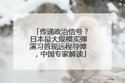 传递政治信号？日本最大规模实弹演习首现远程导弹，中国专家解读