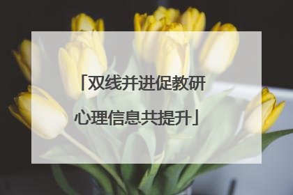 双线并进促教研 心理信息共提升