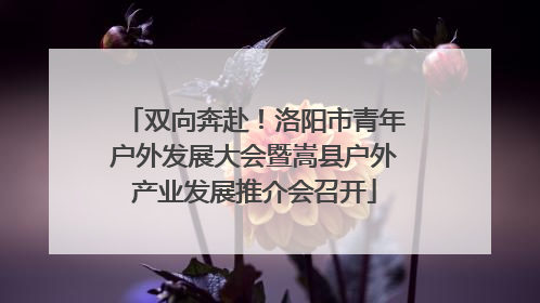 双向奔赴！洛阳市青年户外发展大会暨嵩县户外产业发展推介会召开