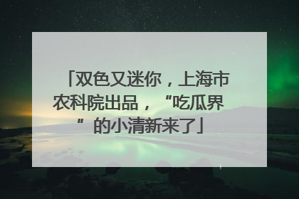 双色又迷你，上海市农科院出品，“吃瓜界”的小清新来了
