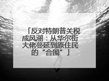 反对特朗普关税成风潮：从华尔街大佬蔓延到原住民的“合围”