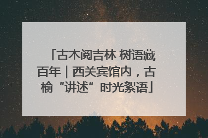 古木阅吉林 树语藏百年｜西关宾馆内，古榆“讲述”时光絮语