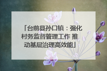 台前县孙口镇：强化村务监督管理工作 推动基层治理高效能