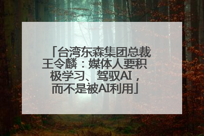 台湾东森集团总裁王令麟：媒体人要积极学习、驾驭AI，而不是被AI利用
