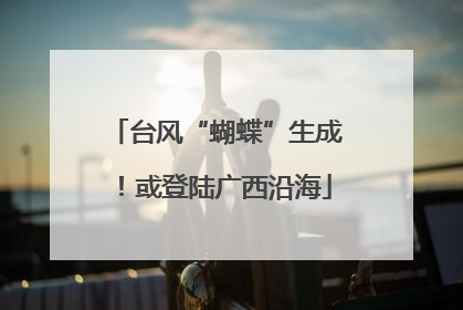 台风“蝴蝶”生成！或登陆广西沿海