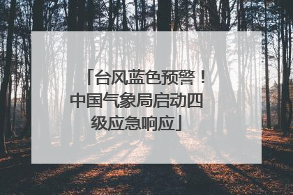 台风蓝色预警！中国气象局启动四级应急响应