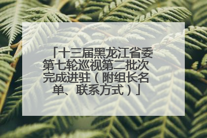 十三届黑龙江省委第七轮巡视第二批次完成进驻（附组长名单、联系方式）