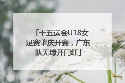 十五运会U18女足赛肇庆开赛，广东队无缘开门红