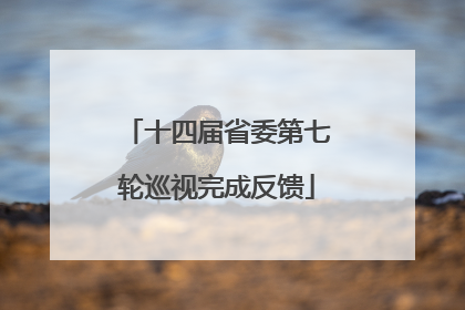 十四届省委第七轮巡视完成反馈