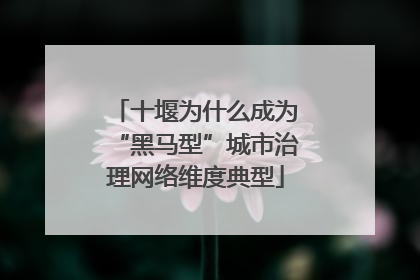 十堰为什么成为“黑马型”城市治理网络维度典型