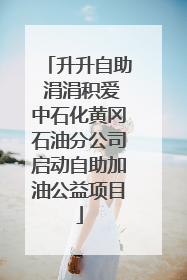 升升自助 涓涓积爱中石化黄冈石油分公司启动自助加油公益项目