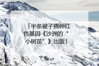 半条被子播种红色基因《沙洲的“小树苗”》出版