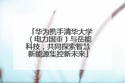 华为携手清华大学（电力国重）与岳能科技，共同探索智慧新能源集控新未来