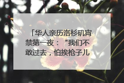 华人亲历洛杉矶宵禁第一夜：“我们不敢过去，怕挨枪子儿”｜封面头条